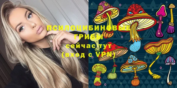спиды Карталы