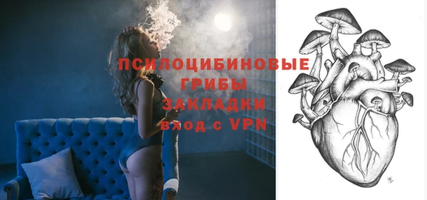 амф Касимов