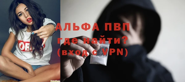 амф Касимов