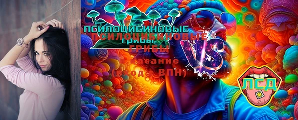 ECSTASY Карпинск