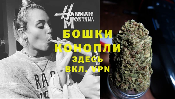 амф Касимов