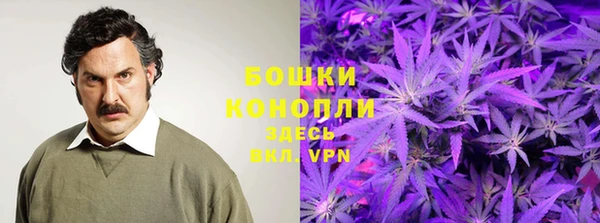 амф Касимов