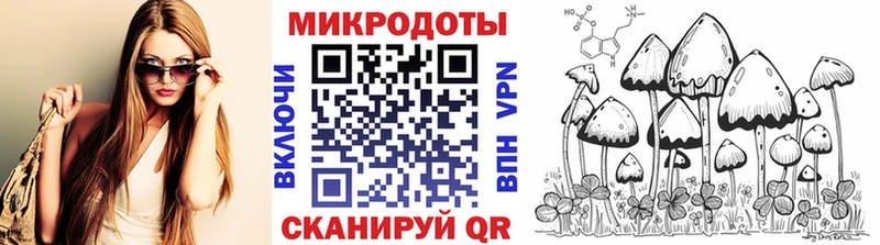 Галлюциногенные грибы MAGIC MUSHROOMS  Купить закладки  Чадан 